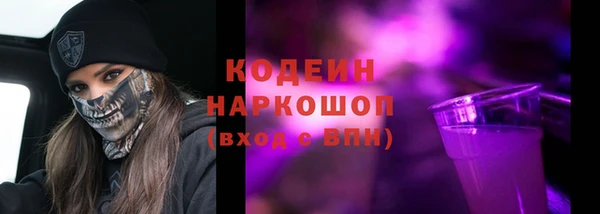 spice Бородино