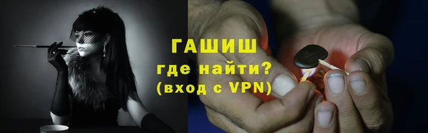 гидра Богородск