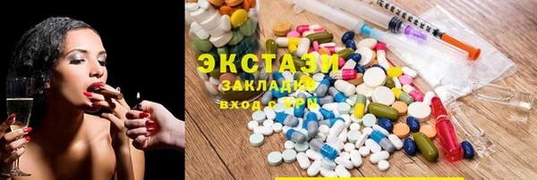 гидра Богородск