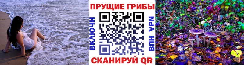 Галлюциногенные грибы прущие грибы  закладки  Валуйки 
