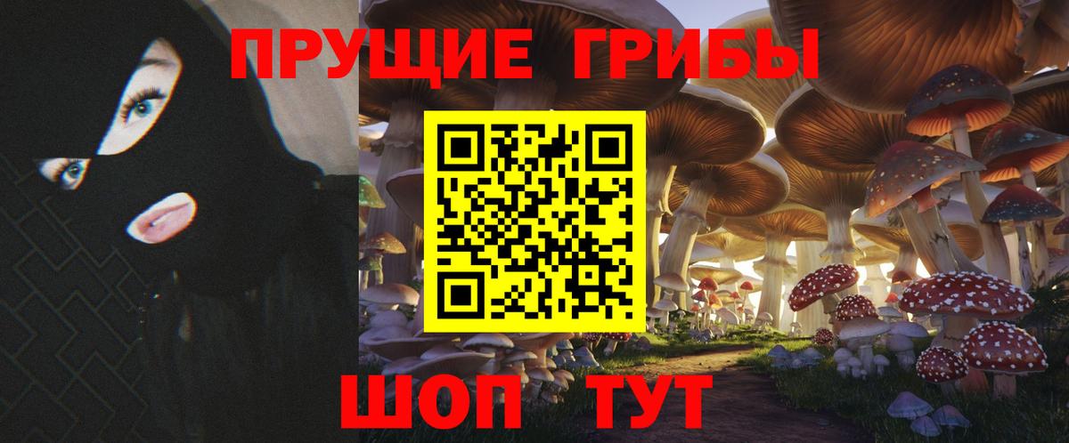 хочу наркоту  Вход с VPN  Валуйки  Галлюциногенные грибы мицелий 